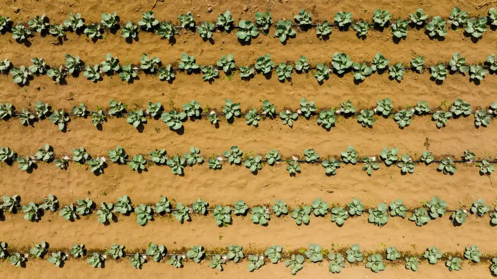 体育器械选购指南：球类用品与户外装备如何匹配不同运动场景