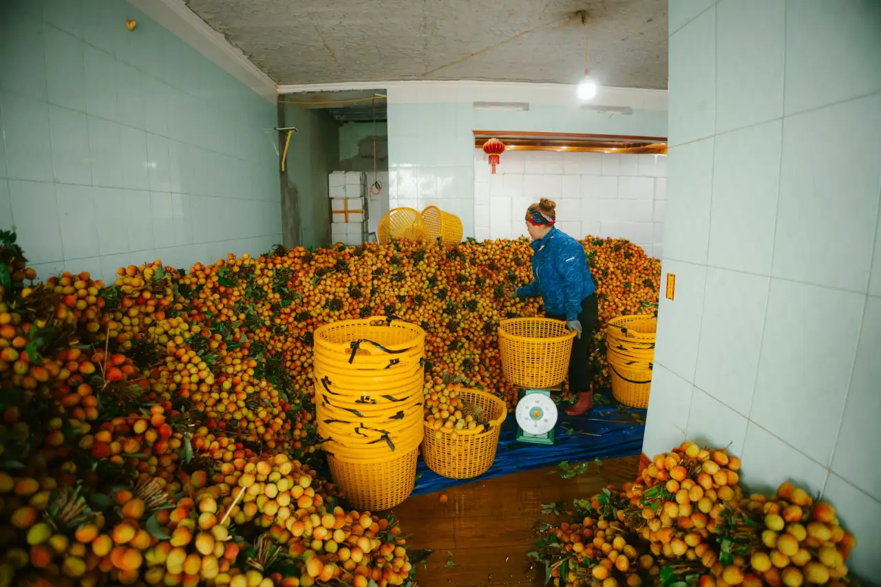 重庆地区户外运动装备选购指南：球类器材与体育器械搭配方案