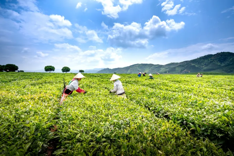 重庆体育器械选购指南：球类用品与户外装备搭配推荐