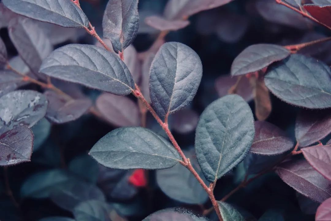 重庆户外运动装备选购指南：球类用品与体育器械搭配方案解析